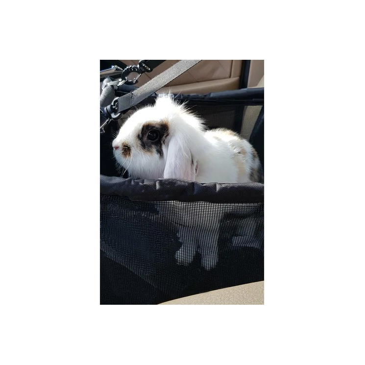 Üléses kutyahordozó Purlov