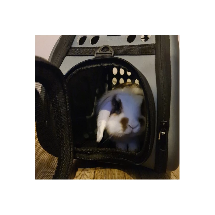 Kisállatszállító táska kutyáknak / macskáknak szürke