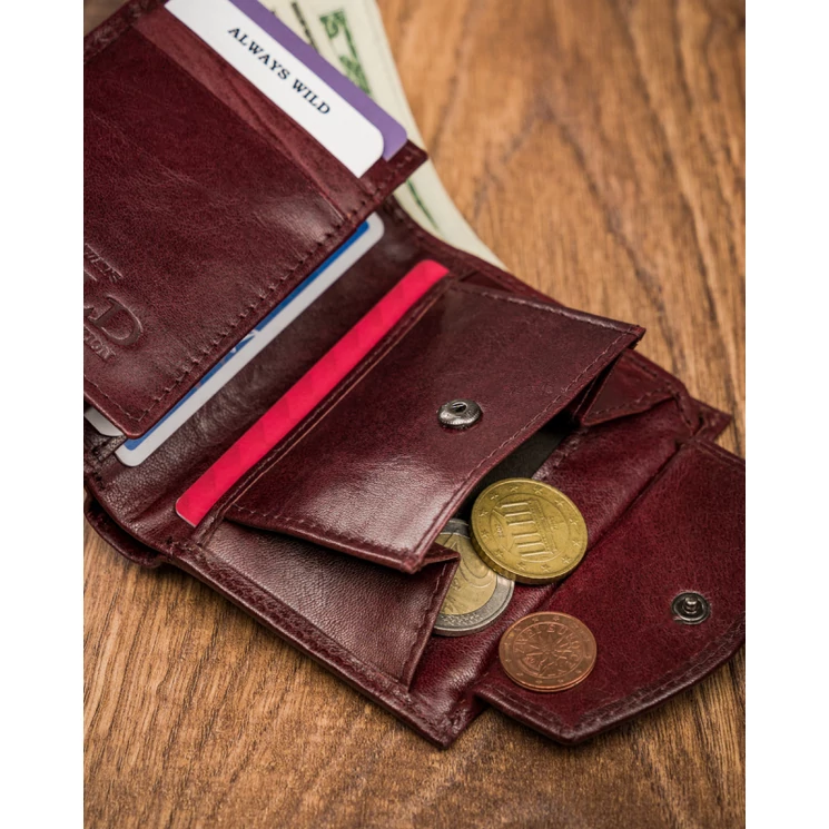 ALWAYS WILD Férfi pénztárca