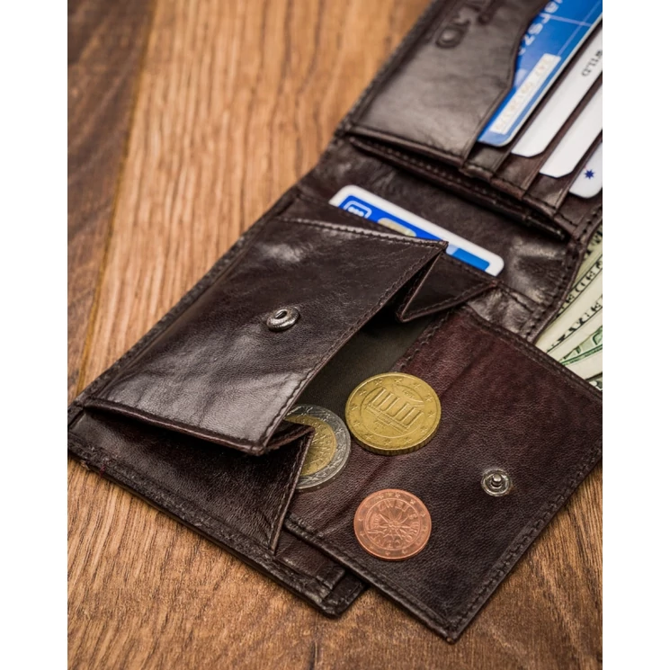 ALWAYS WILD Férfi pénztárca