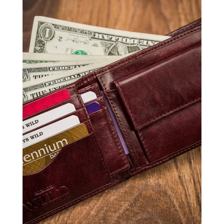 ALWAYS WILD Férfi pénztárca