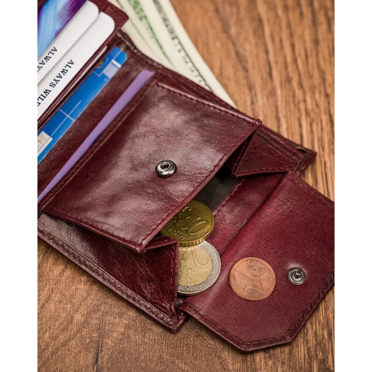 ALWAYS WILD Férfi pénztárca