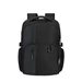 Samsonite BIZ2GO Laptoptartós hátizsák 15.6