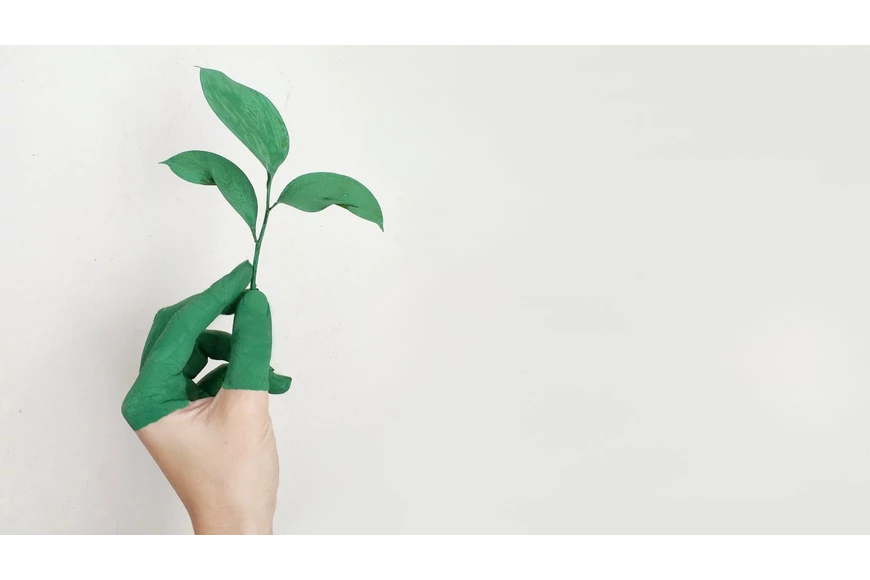 Teszünk a zöldebb jövőért - egy környezettudatos webshop 5 alappillére